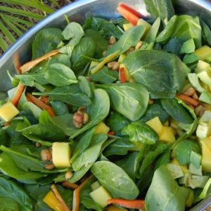 Mango Chicken Salad