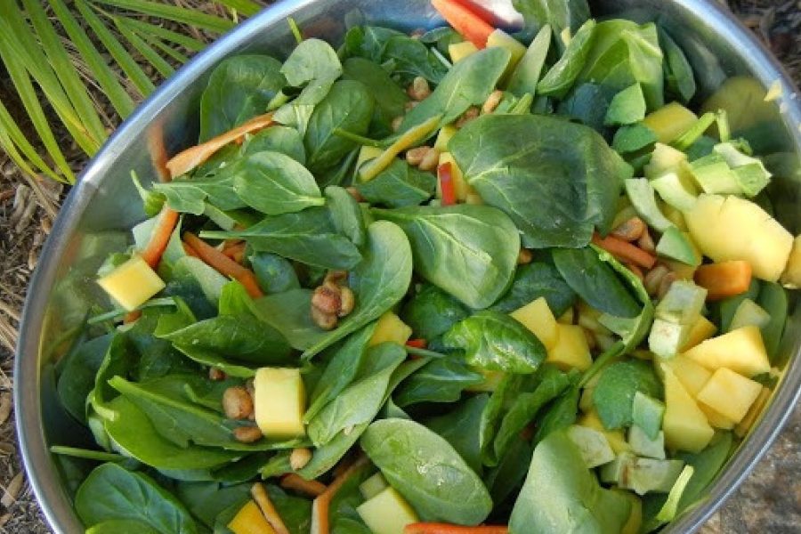 Mango Chicken Salad