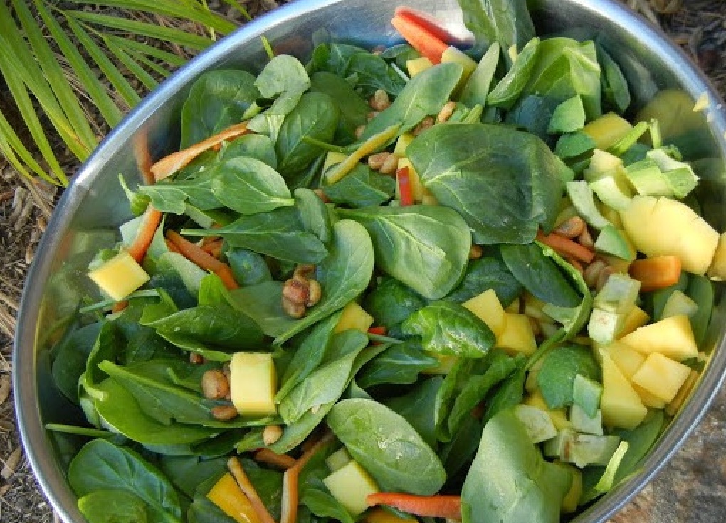 Mango Chicken Salad