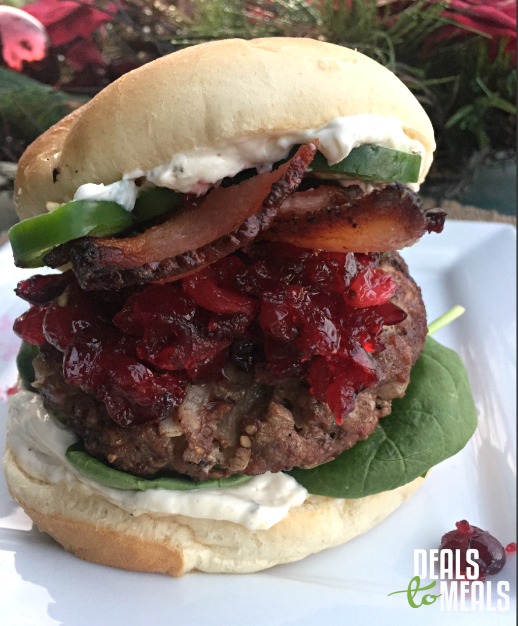 Jalapeno Cranberry Cream Cheese Burger