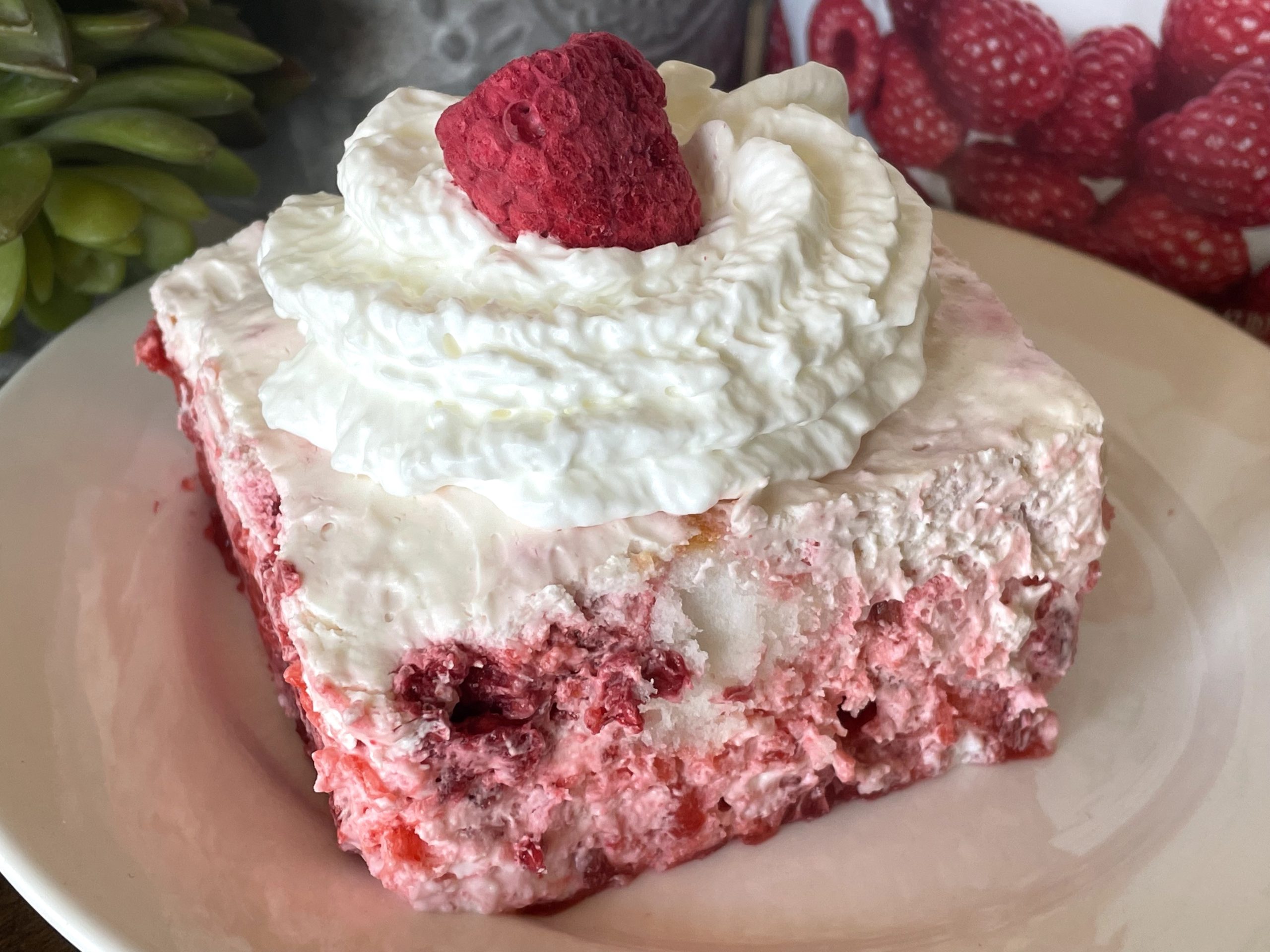 Raspberry Angel Food Cake